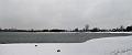 Wandeling De Paalse Plas 24-2-2013 (47)